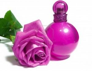 9365283-fles-parfum-en-bloemen